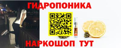 PSILOCYBIN Тверь