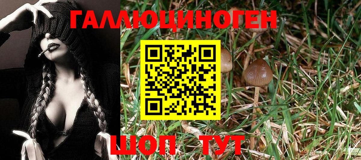 Галлюциногенные грибы Magic Shrooms  Вход с VPN  Нурлат 