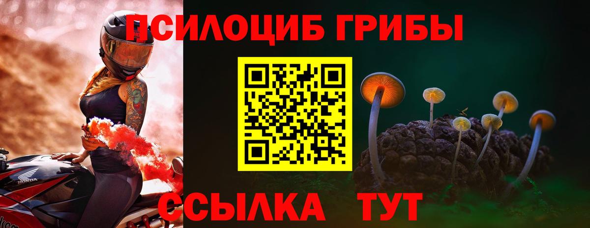 Псилоцибиновые грибы мицелий Нурлат